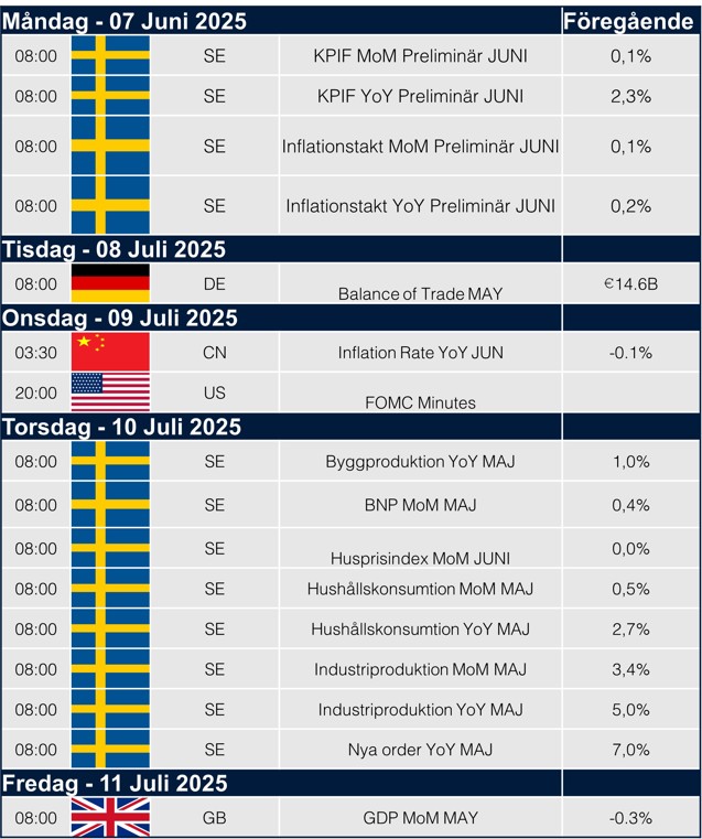Macro kalender v.28
